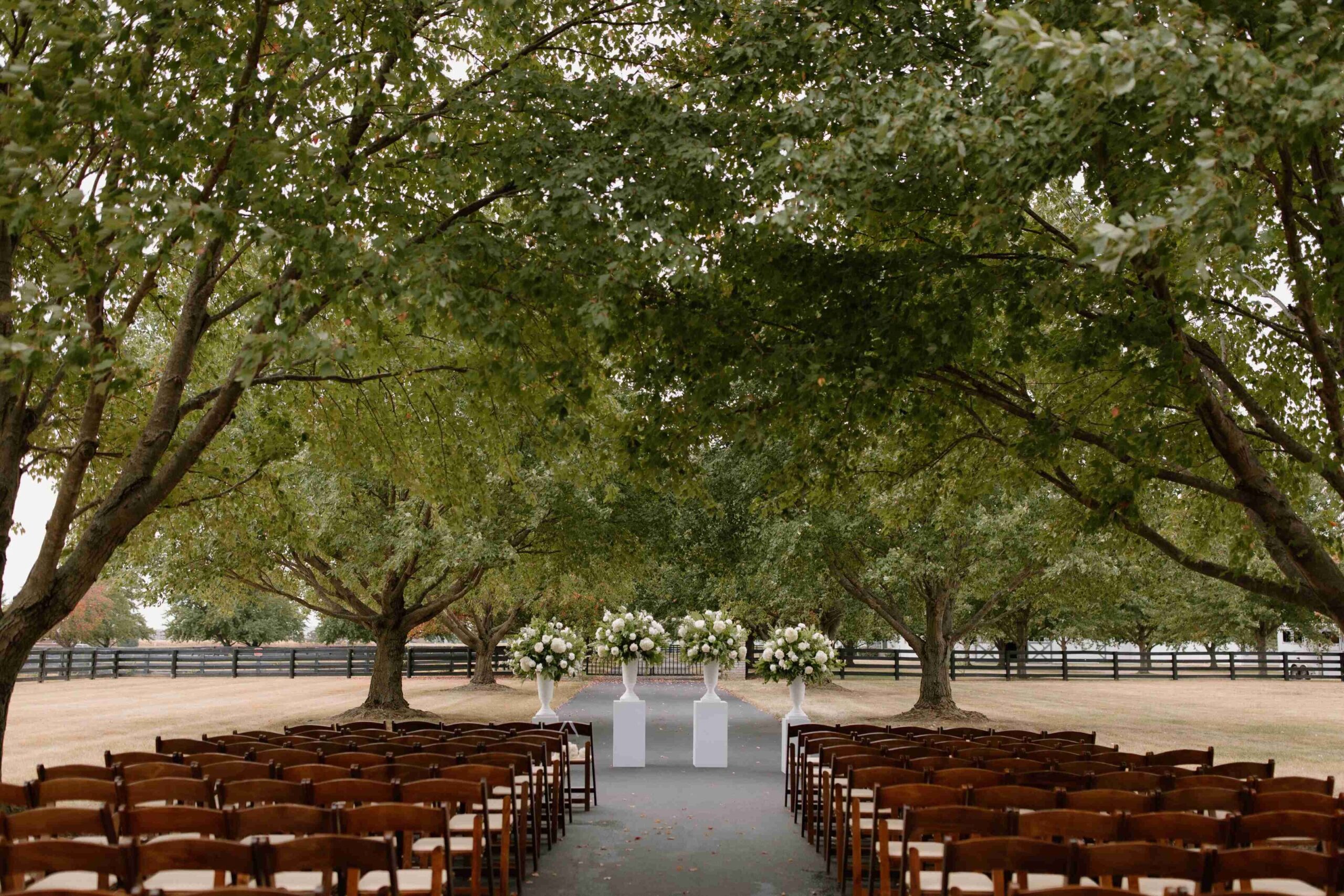 Outdoor wedding ceremony beneath mature trees with rows of wooden chairs and white floral arrangements lining the aisle.